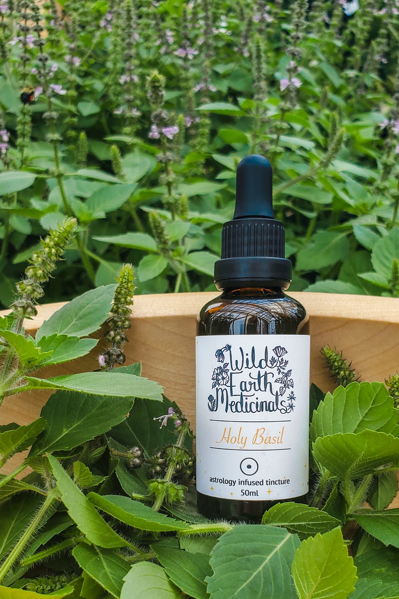 Holy Basil~Sun Tincture