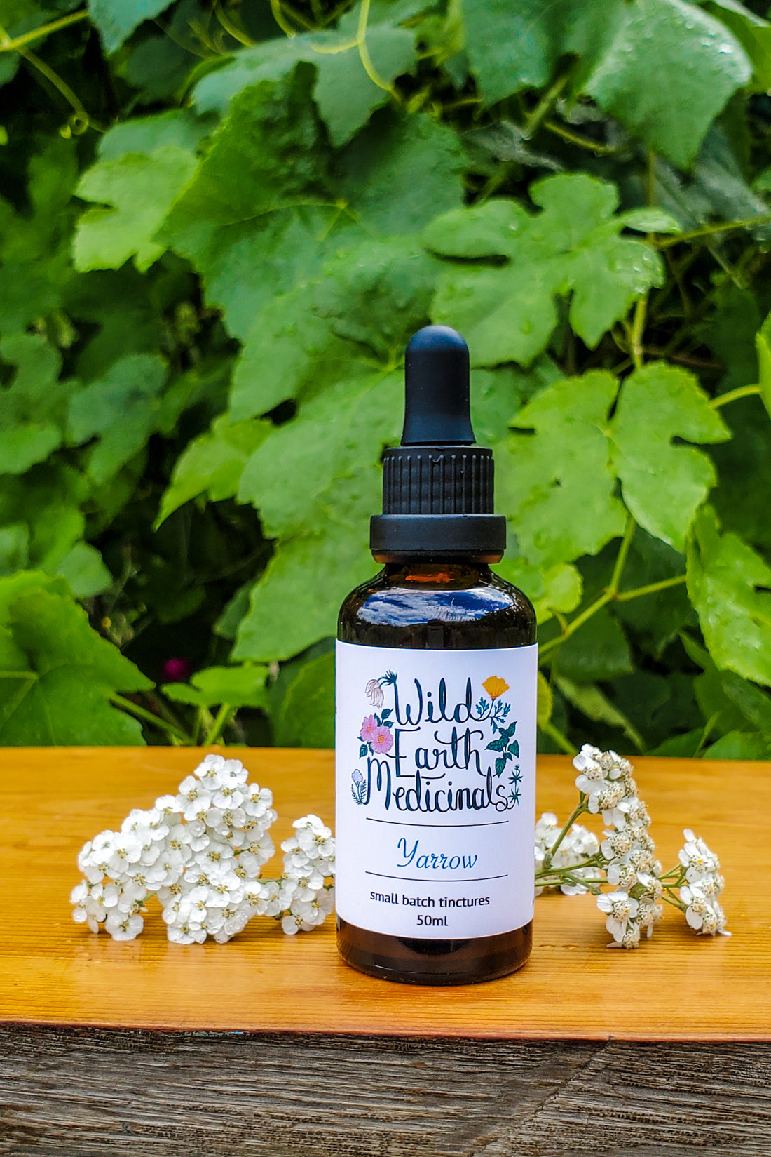 Yarrow Tincture