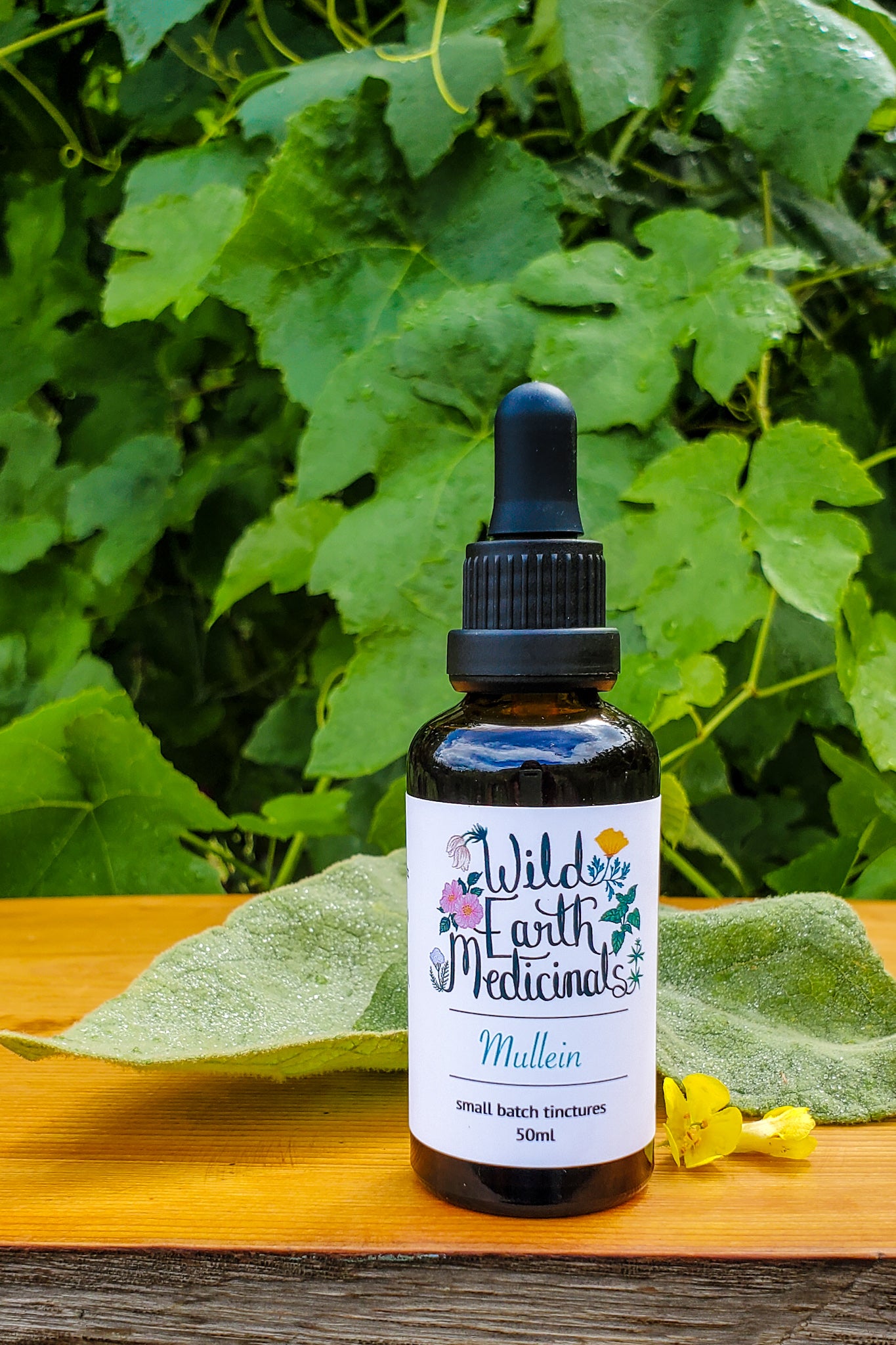 Mullein Tincture