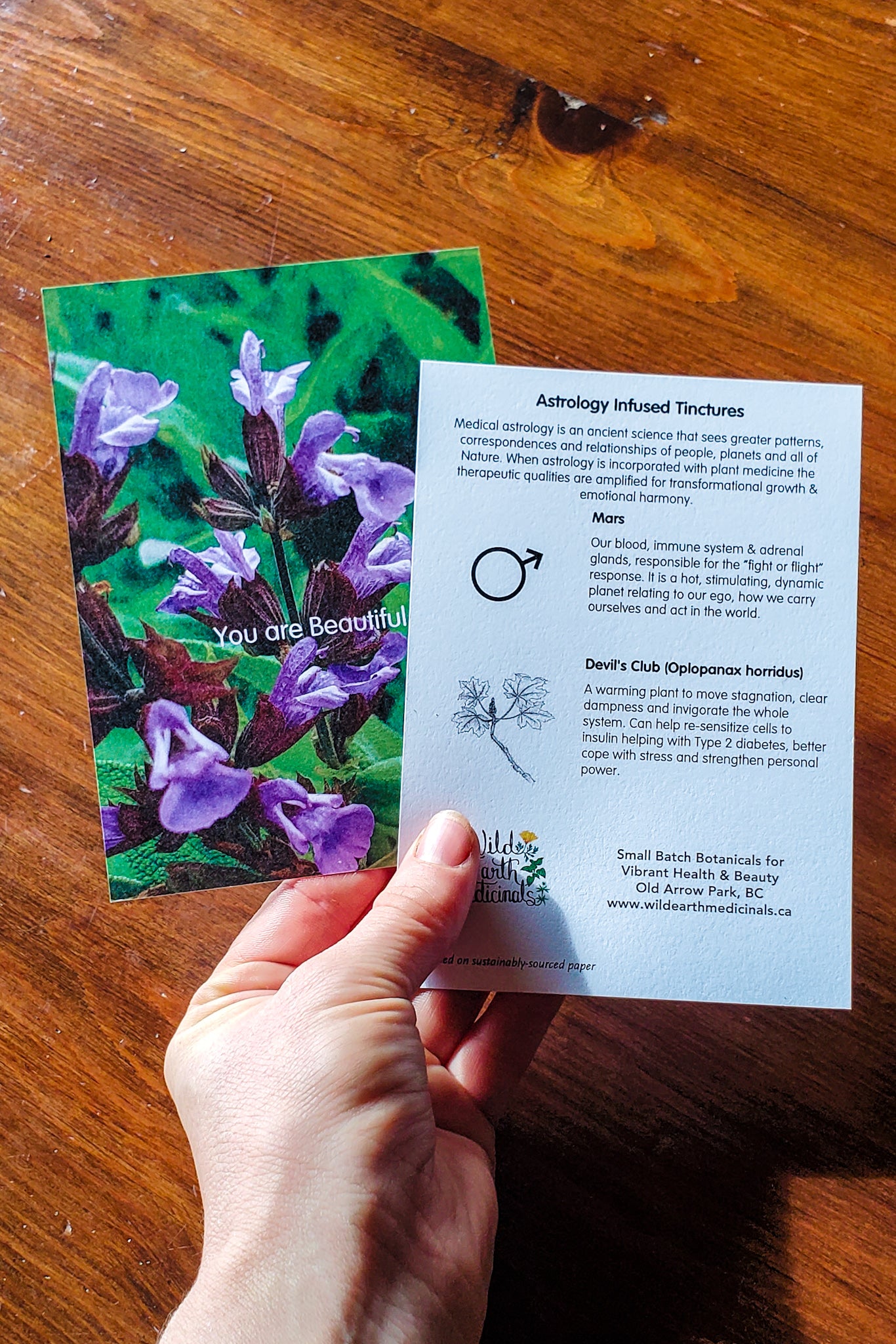 Astrology Collection ~ 7 Tinctures
