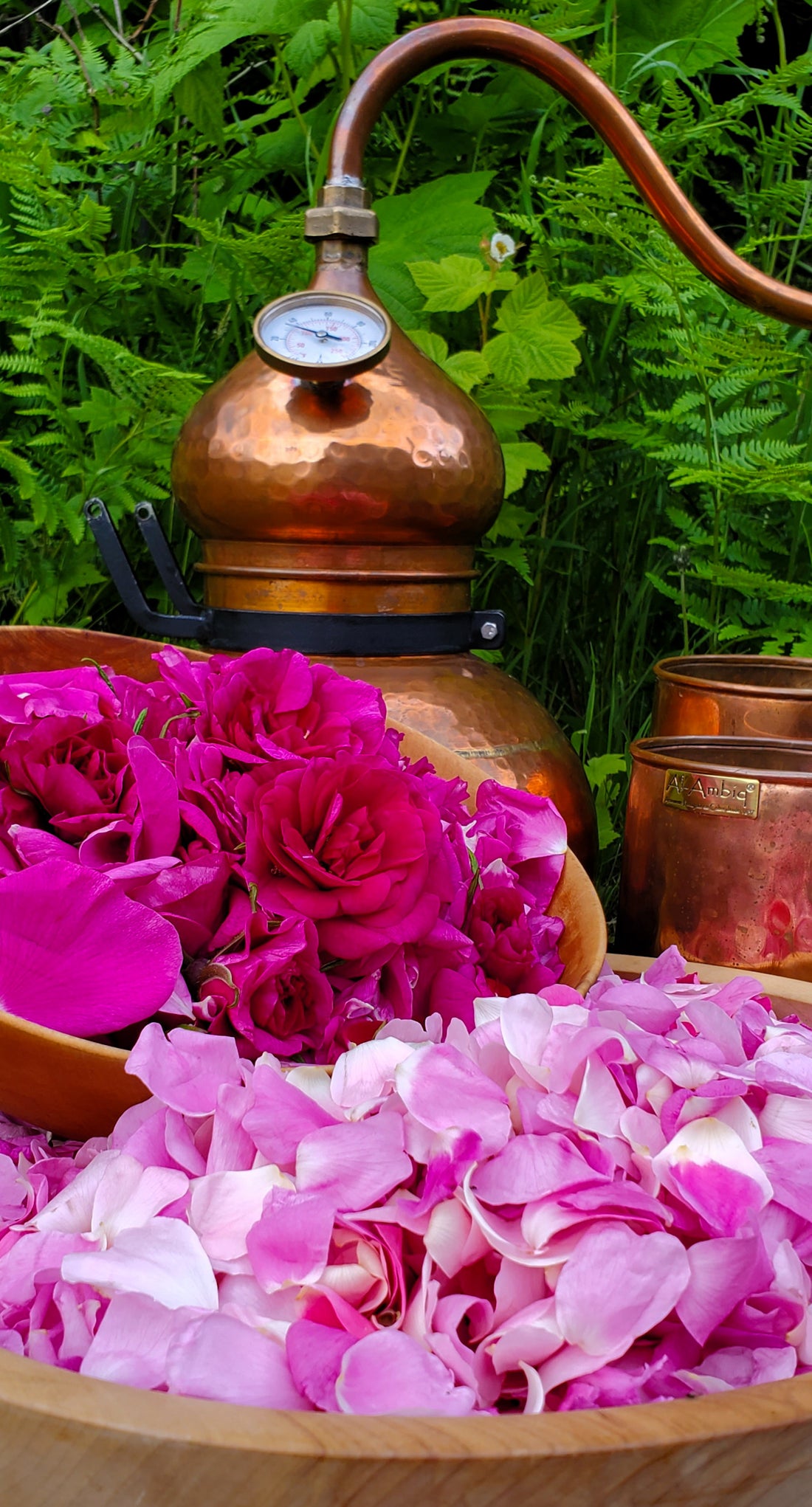 Rose Hydrosol