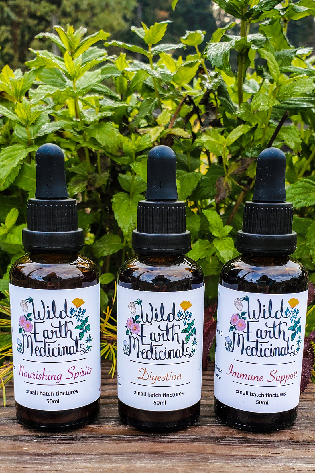 Vital 3 Bundle
