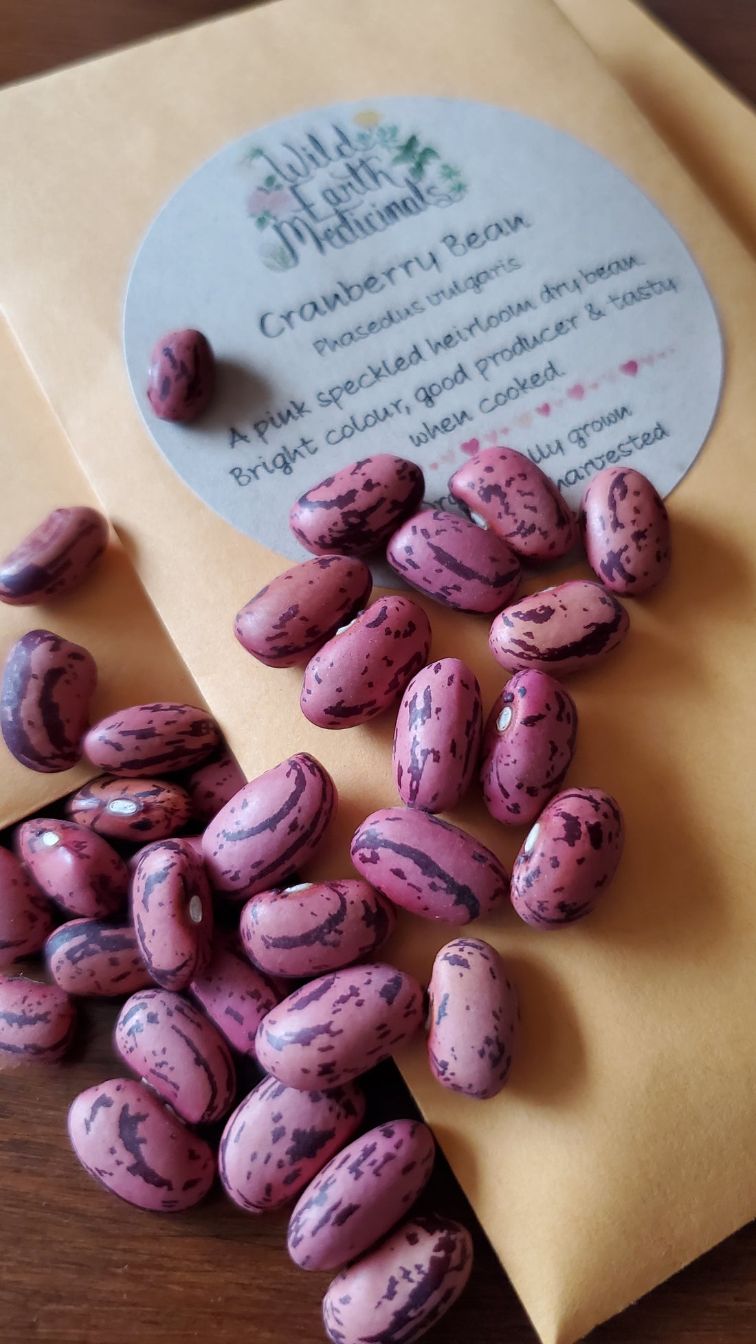 Cranberry Bean Seeds