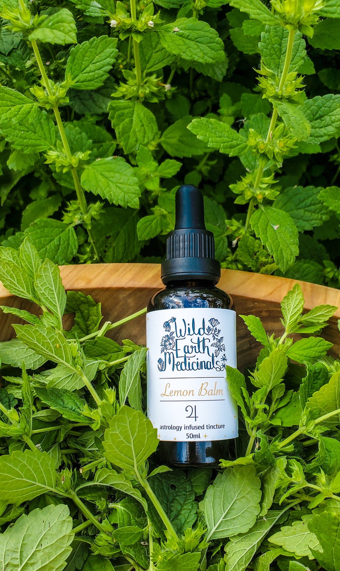 Lemon Balm ~ Jupiter Tincture