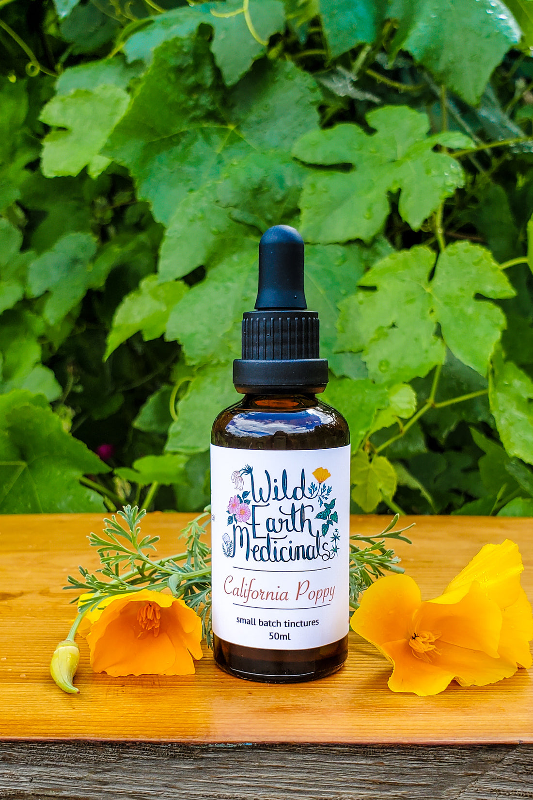 California Poppy Tincture