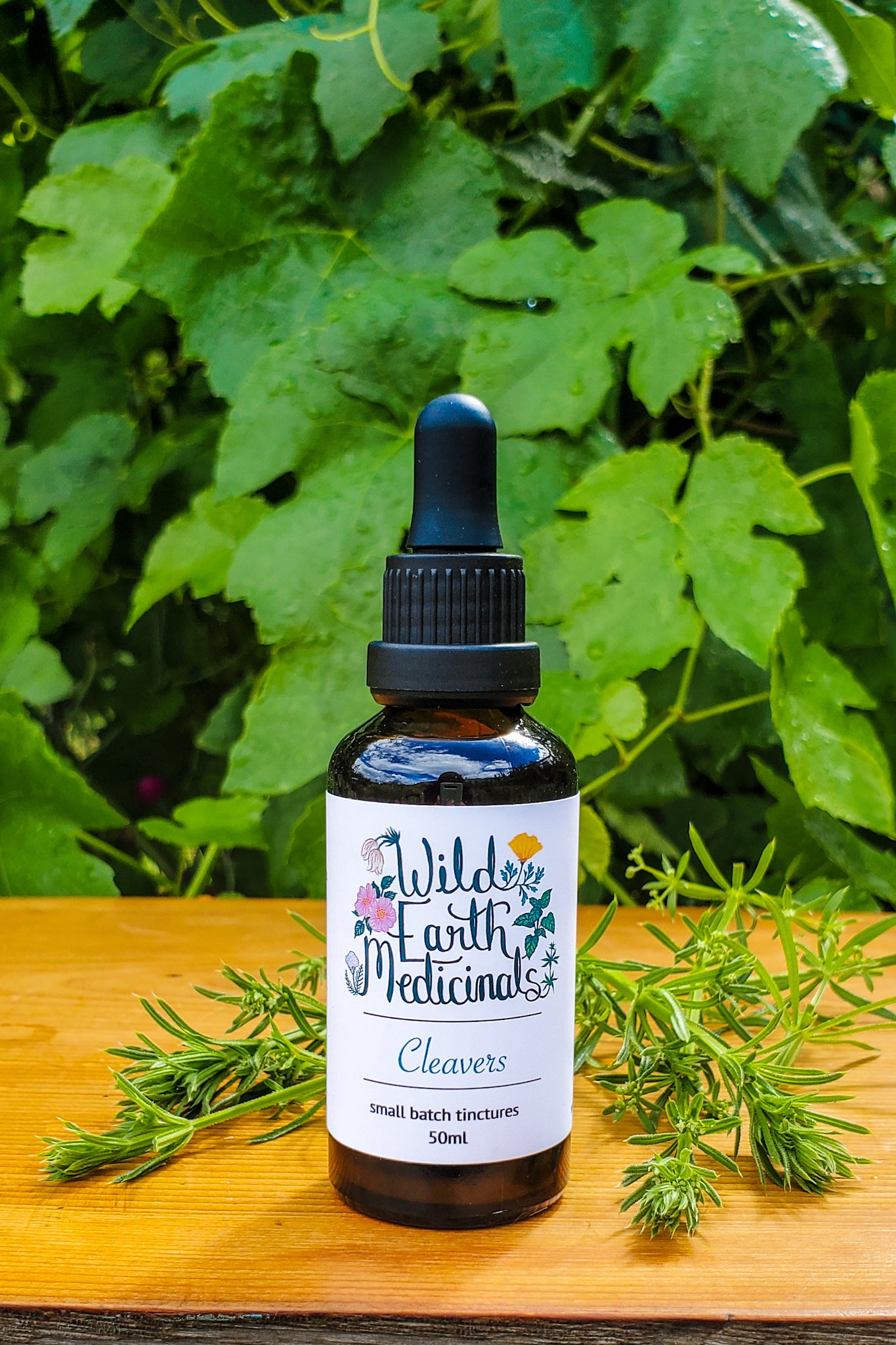 Cleavers Tincture