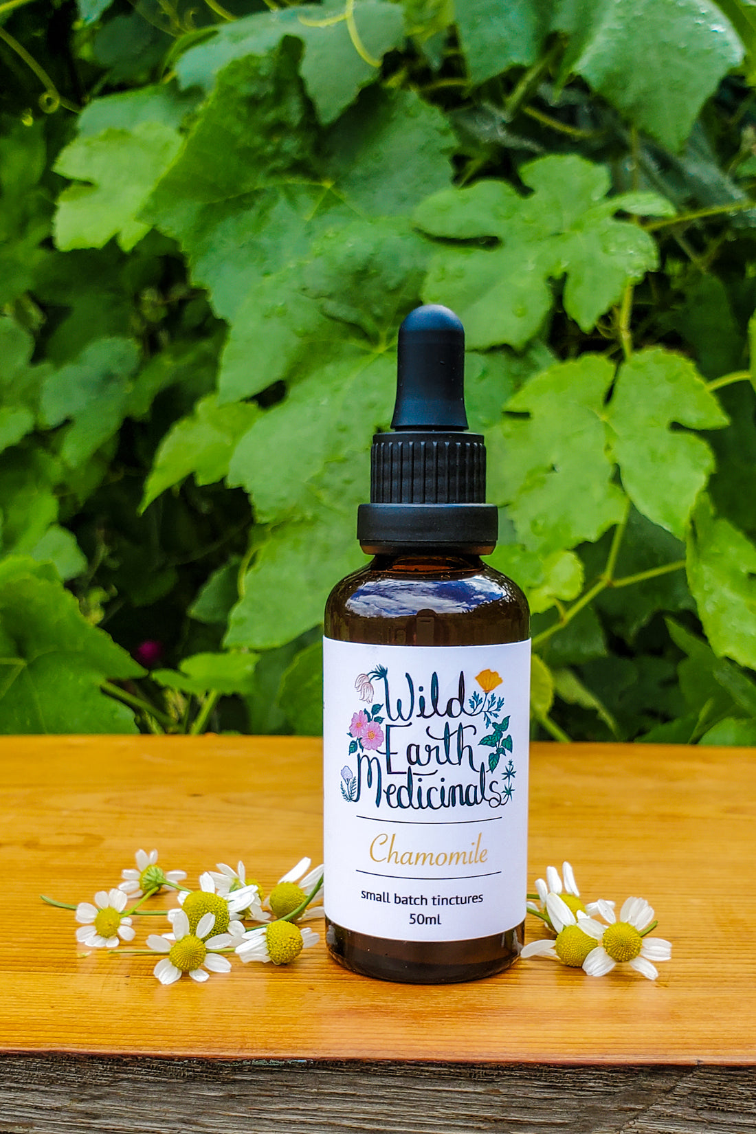 Chamomile Tincture