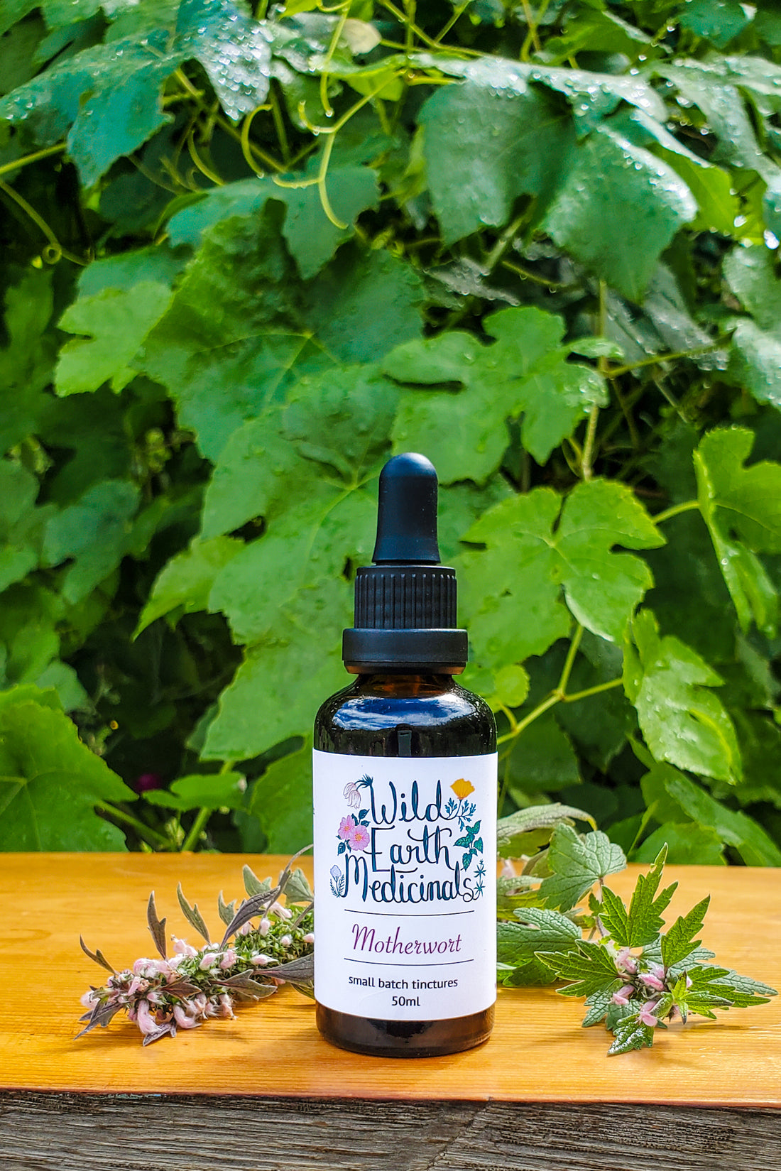 Motherwort Tincture