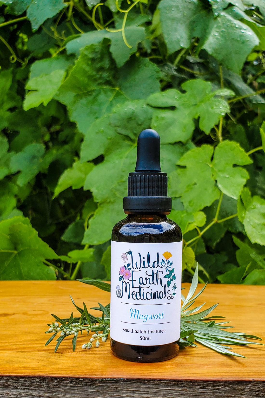Mugwort Tincture