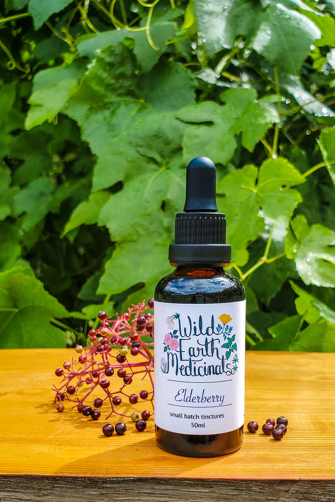 Elderberry Tincture
