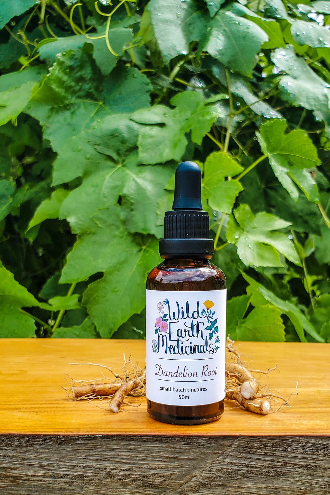 Dandelion Root Tincture