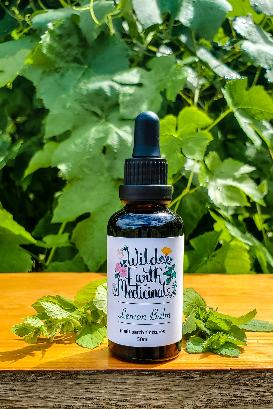 Lemon Balm Tincture