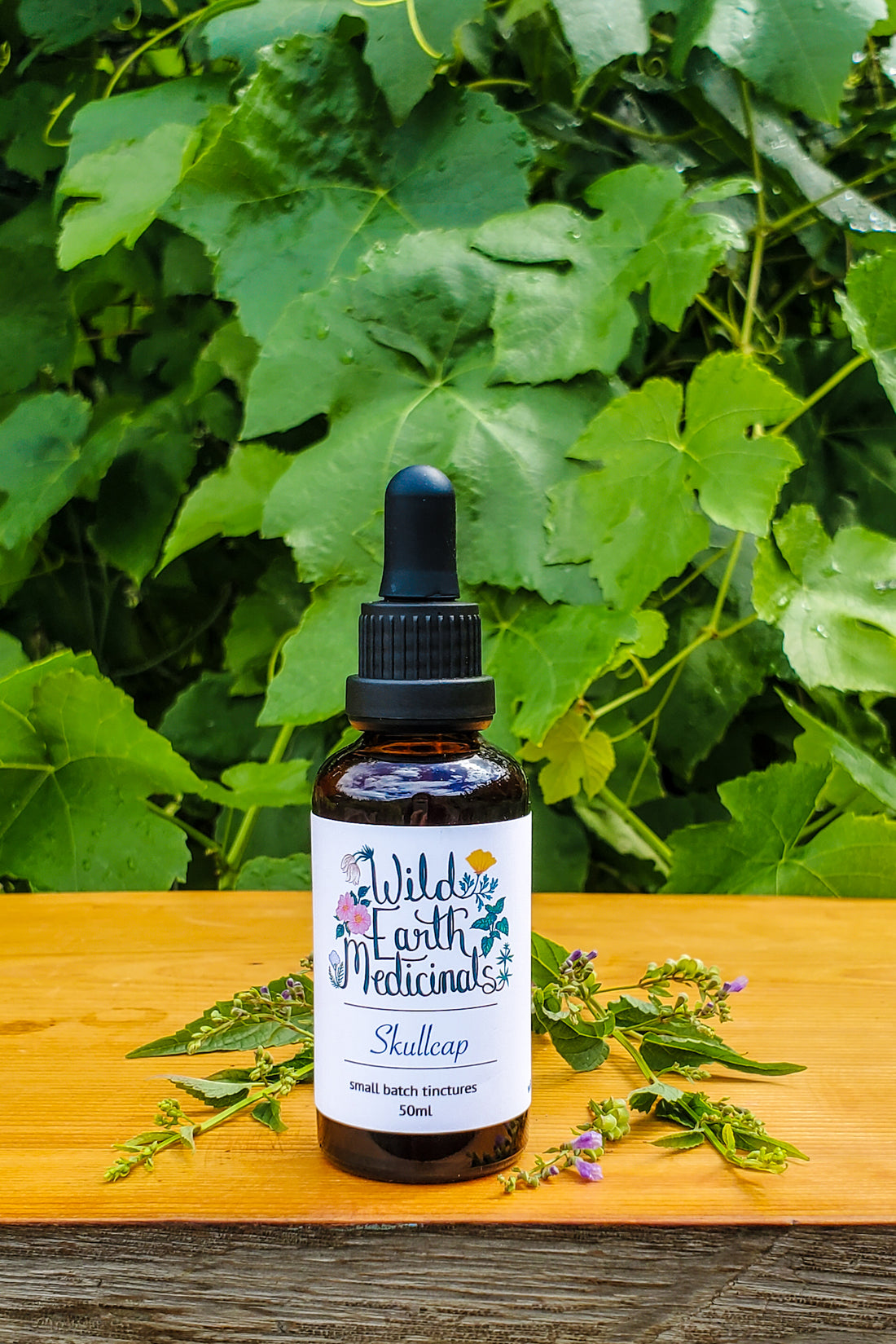 Skullcap Tincture