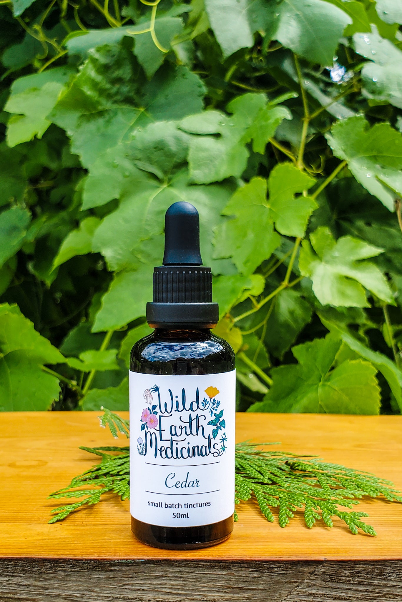 Cedar Tincture