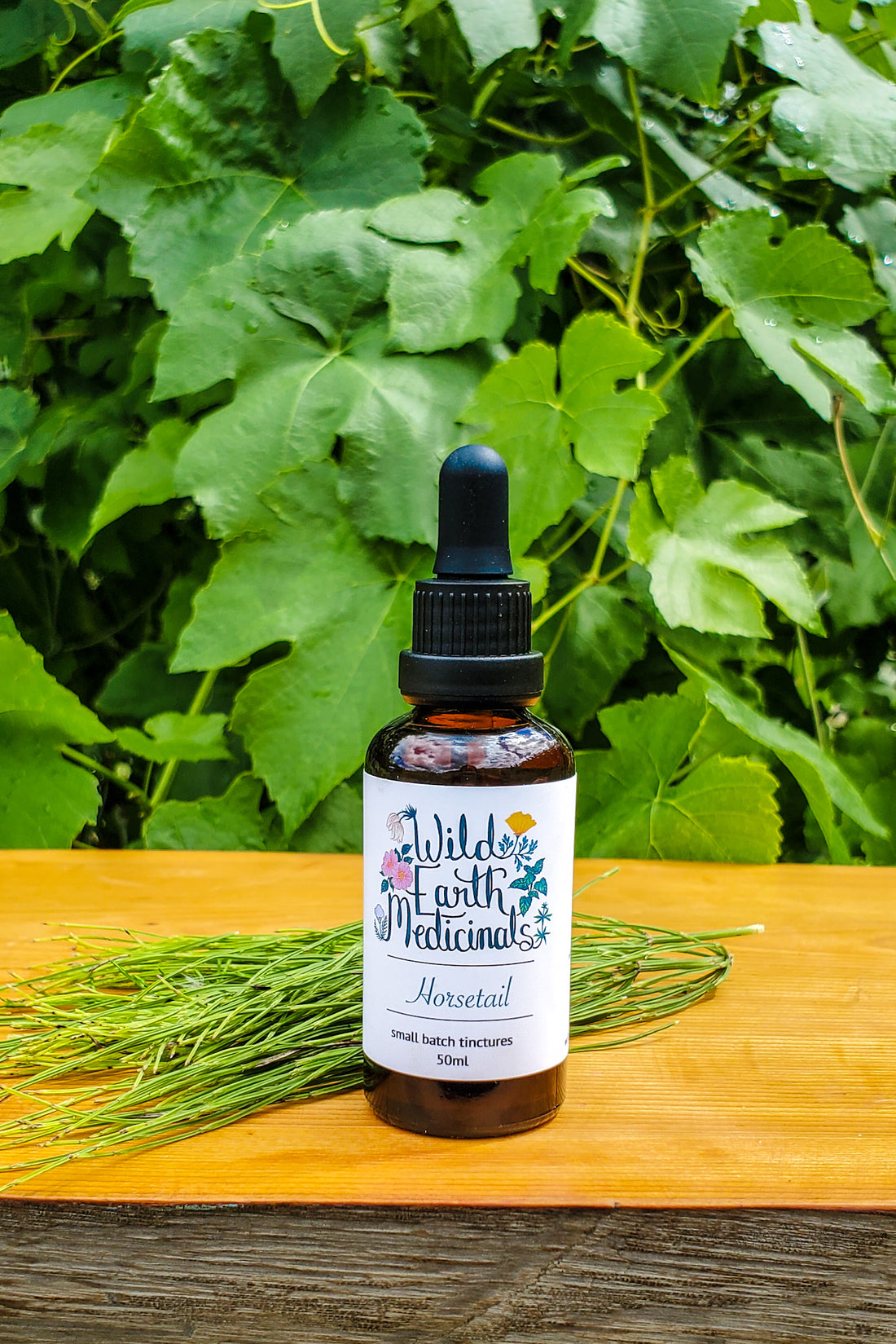 Horsetail Tincture