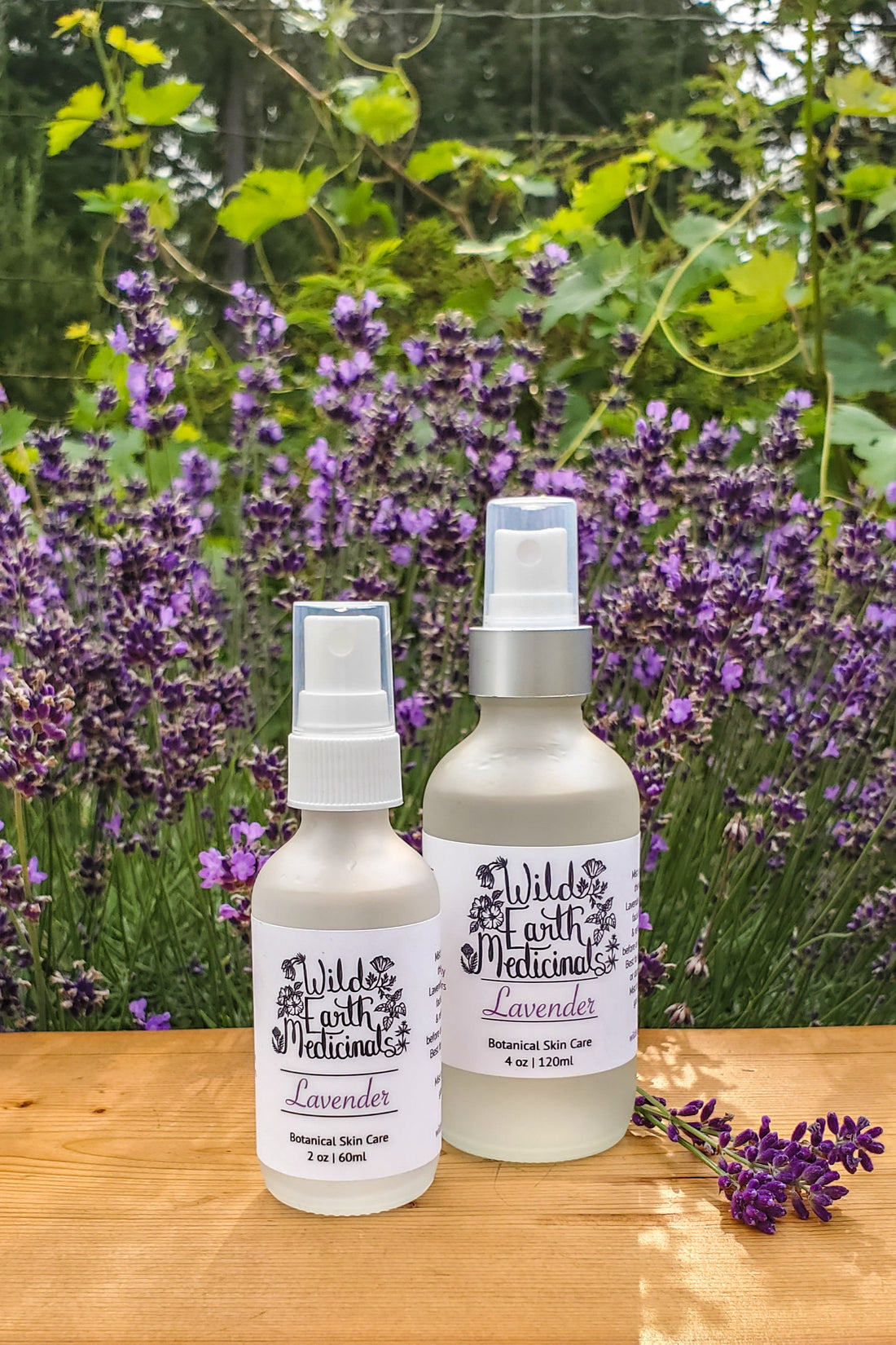 Lavender Hydrosol