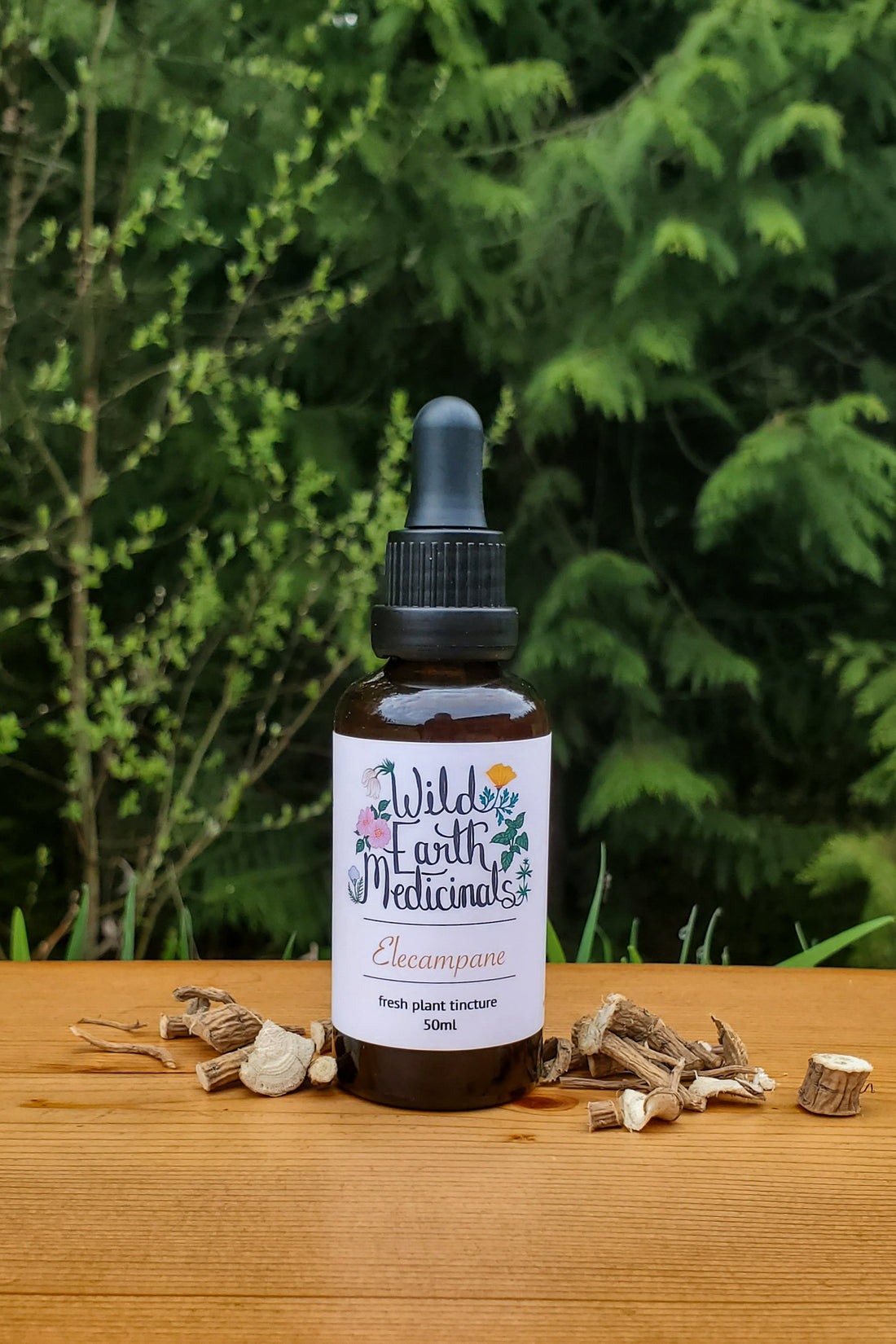 Elecampane Tincture
