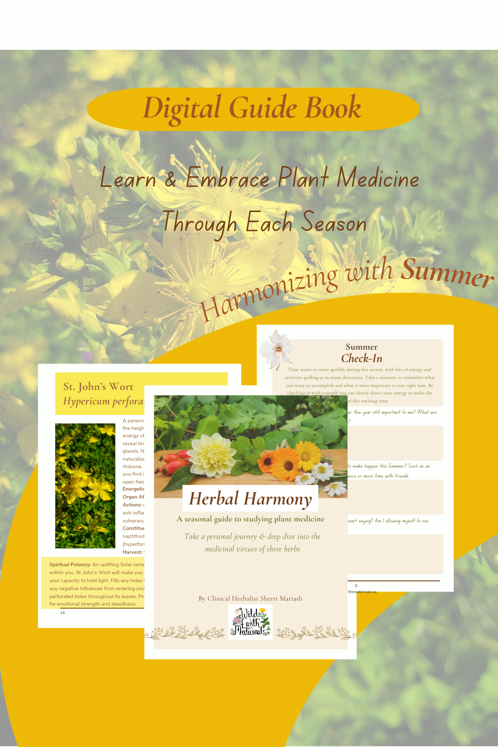 Herbal Harmony Guidebook