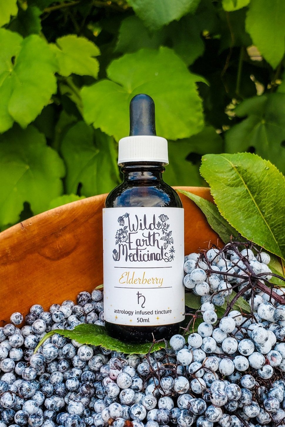 Elderberry ~ Saturn Tincture