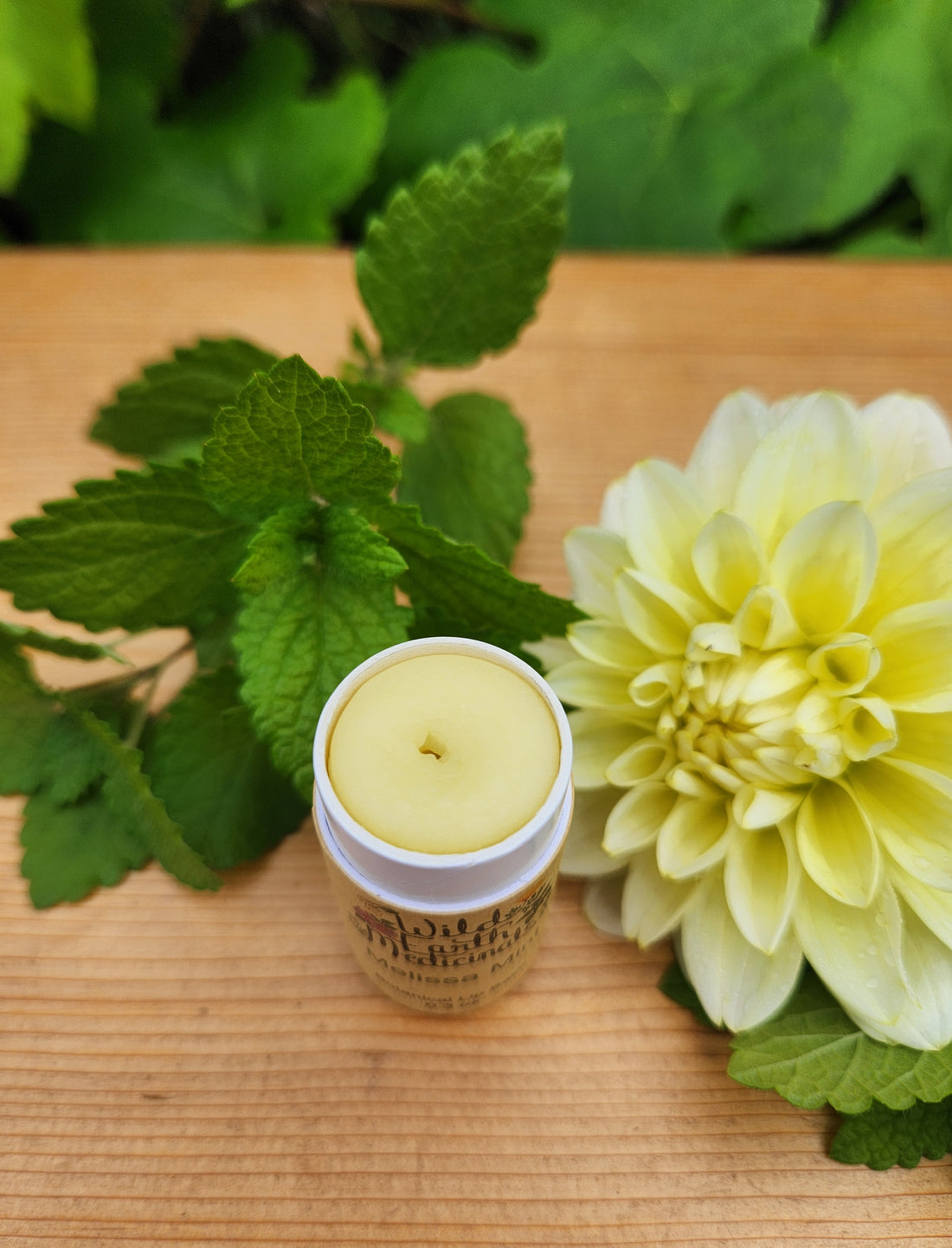 Melissa Mint Lip Balm