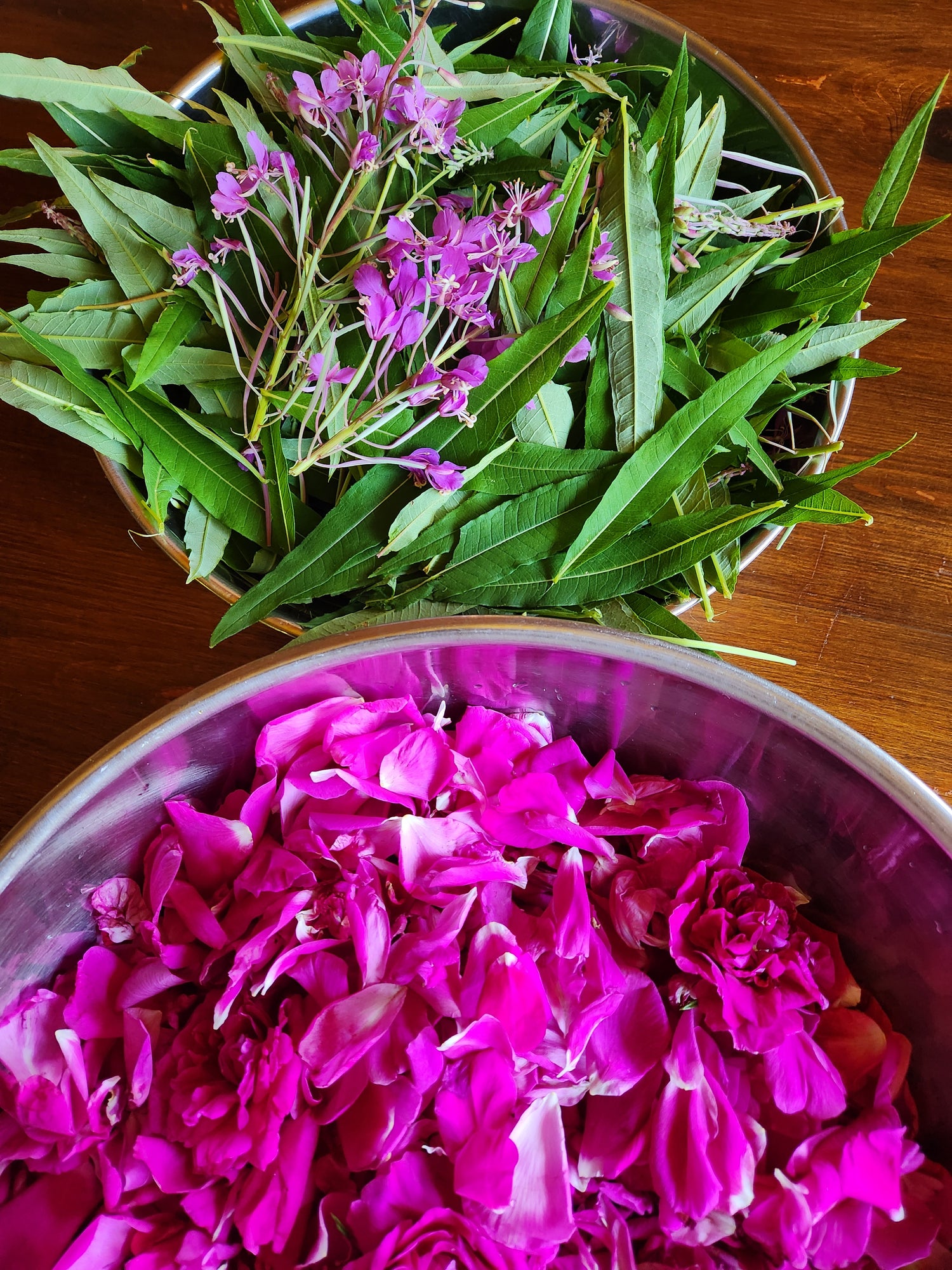 Fire Rose Hydrosol