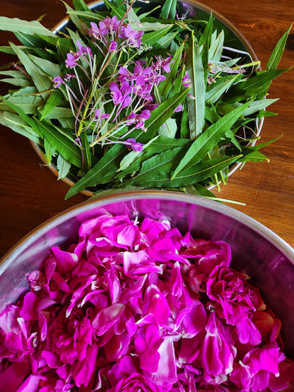 Fire Rose Hydrosol